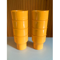 Koen de Winter Mepal Rosti Kan 66